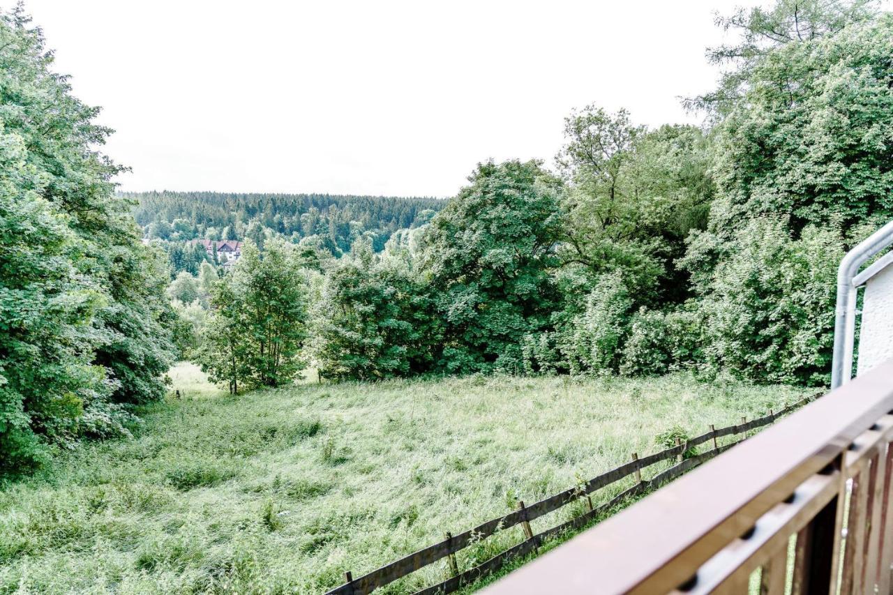 Appartement Wiesenblick à Goslar Extérieur photo